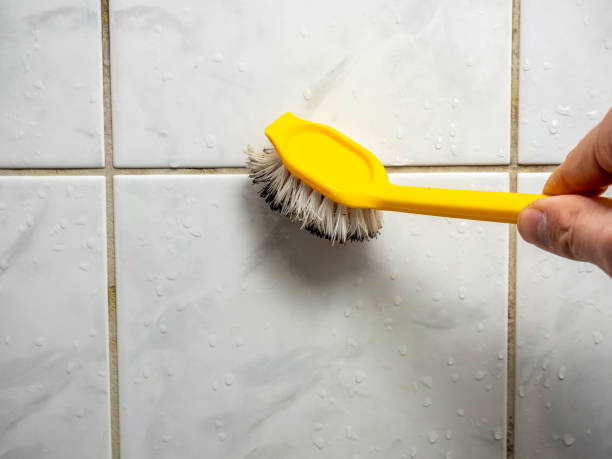 Professional Mold Removal in Rehoboth Beach, DE