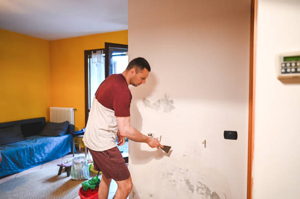 Best Office Mold Removal Services  in Rehoboth Beach, DE